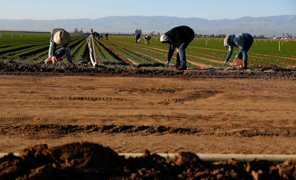 trabajadores agricolas Atrapados en condado de Mesa