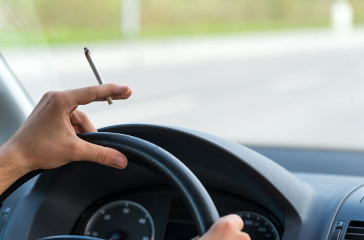 Consumidores de cannabis manejan