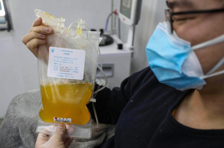 plasma para tratar coronavirus