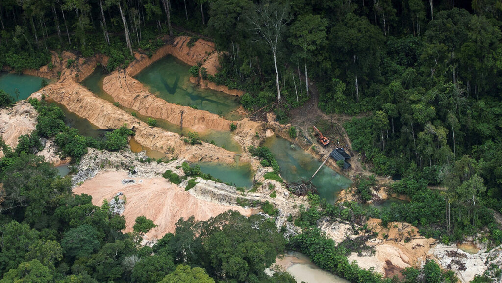 Protección a la Amazonía