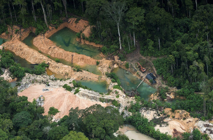 Protección a la Amazonía