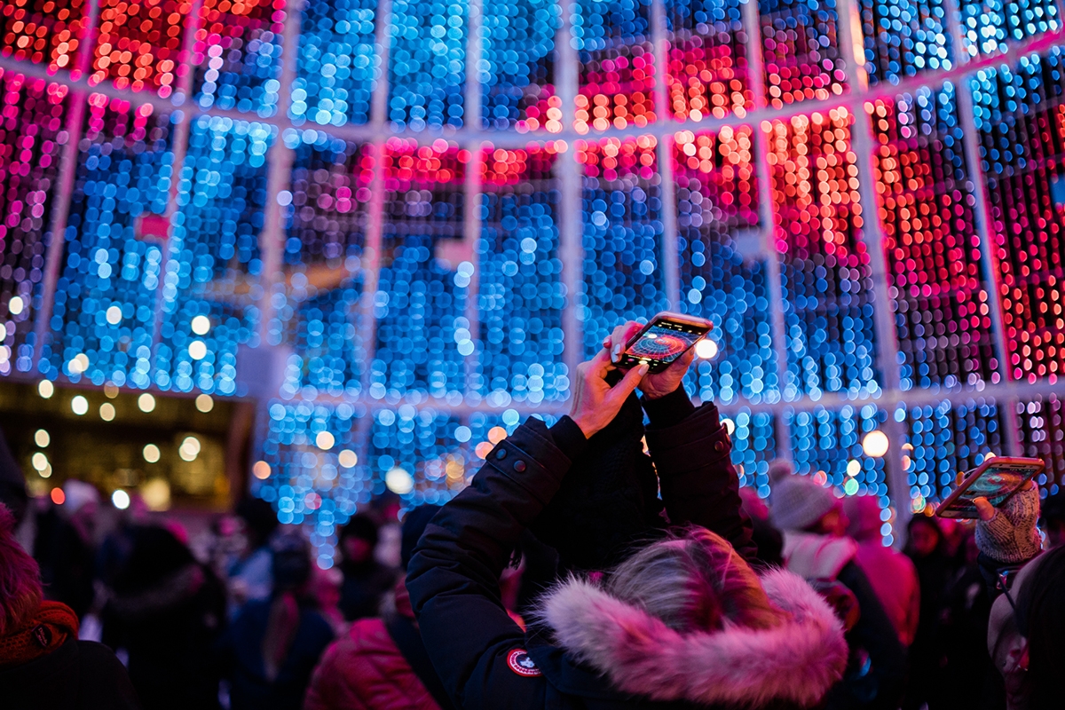 Visite el “Mile High Tree”
