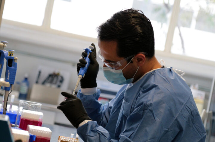 Variantes sudafricana y brasileña