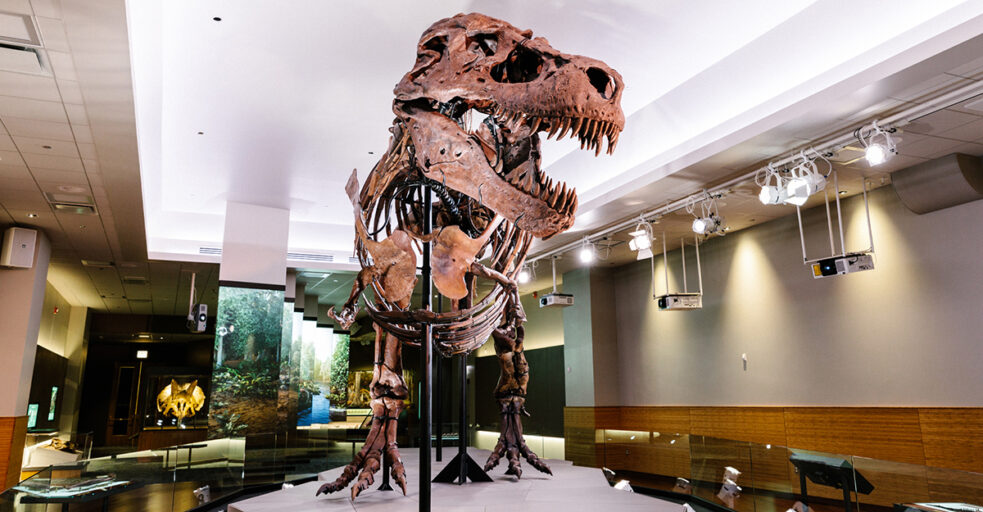 Explore el mundo del Tyrannosaurus rex