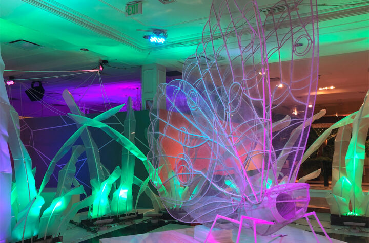 Disfrute de las bellezas naturales en el 16 Street Mall