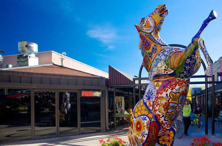 Arrestada banda que asaltaba a población asiática