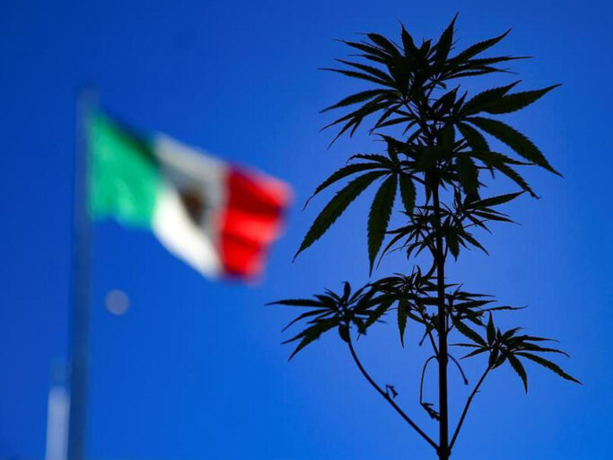 México despenaliza consumo de marihuana