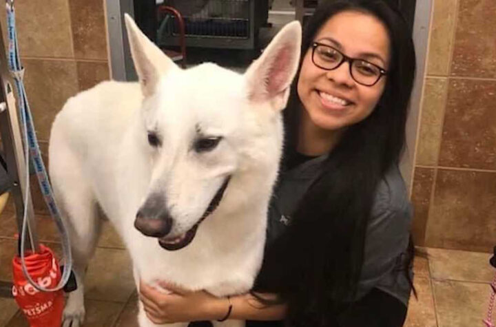 Niegan regreso a soñadora tras entrevista para visa en México