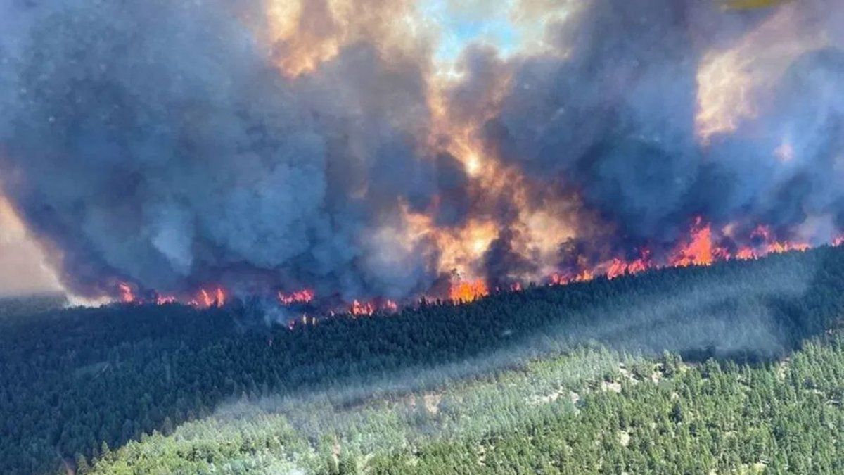 Cientos de muertos y decenas de fuegos por la ola de calor en Canadá y EEUU