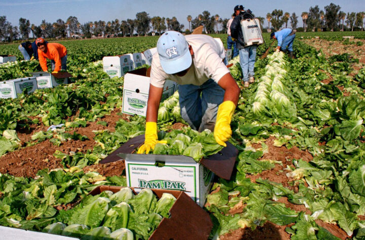 Producción de los latinos en EEUU iguala a producción de Francia