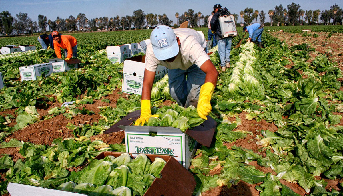 Producción de los latinos en EEUU iguala a producción de Francia