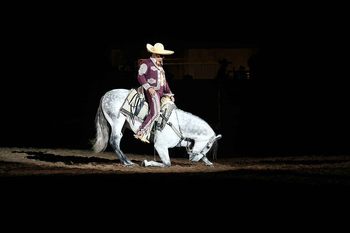 National Western Stock Show Returns Regresa el National Western Stock Show