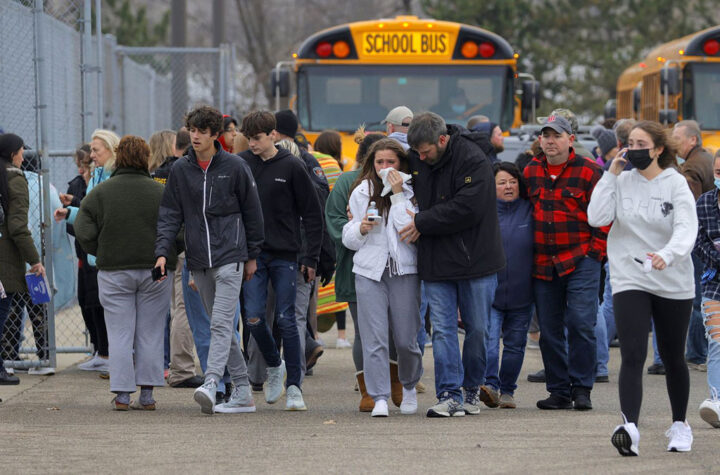 Renovación en línea