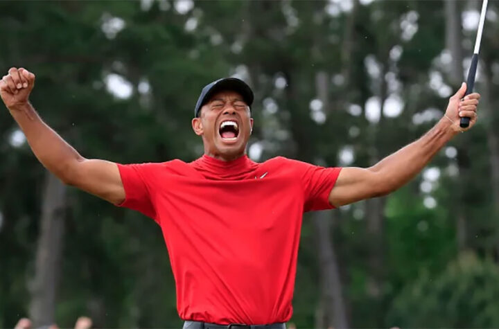 Tiger Wood culmina su carrera profesional