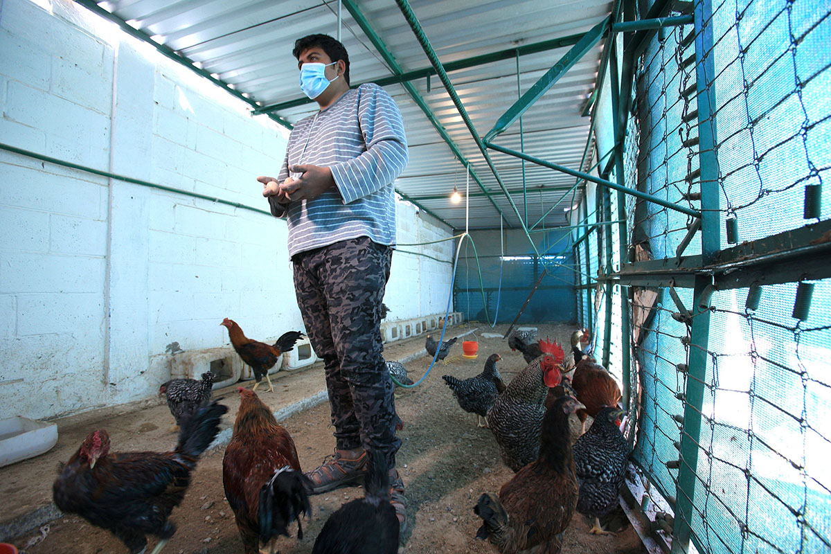Migrantes crían animales y cultivan esperando por su caso de asilo