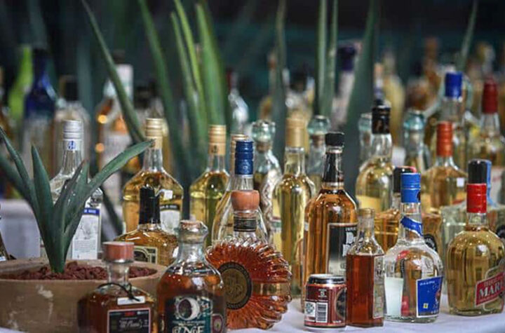 Éxito del tequila