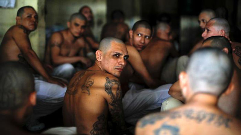Unos 14.000 pandilleros presos