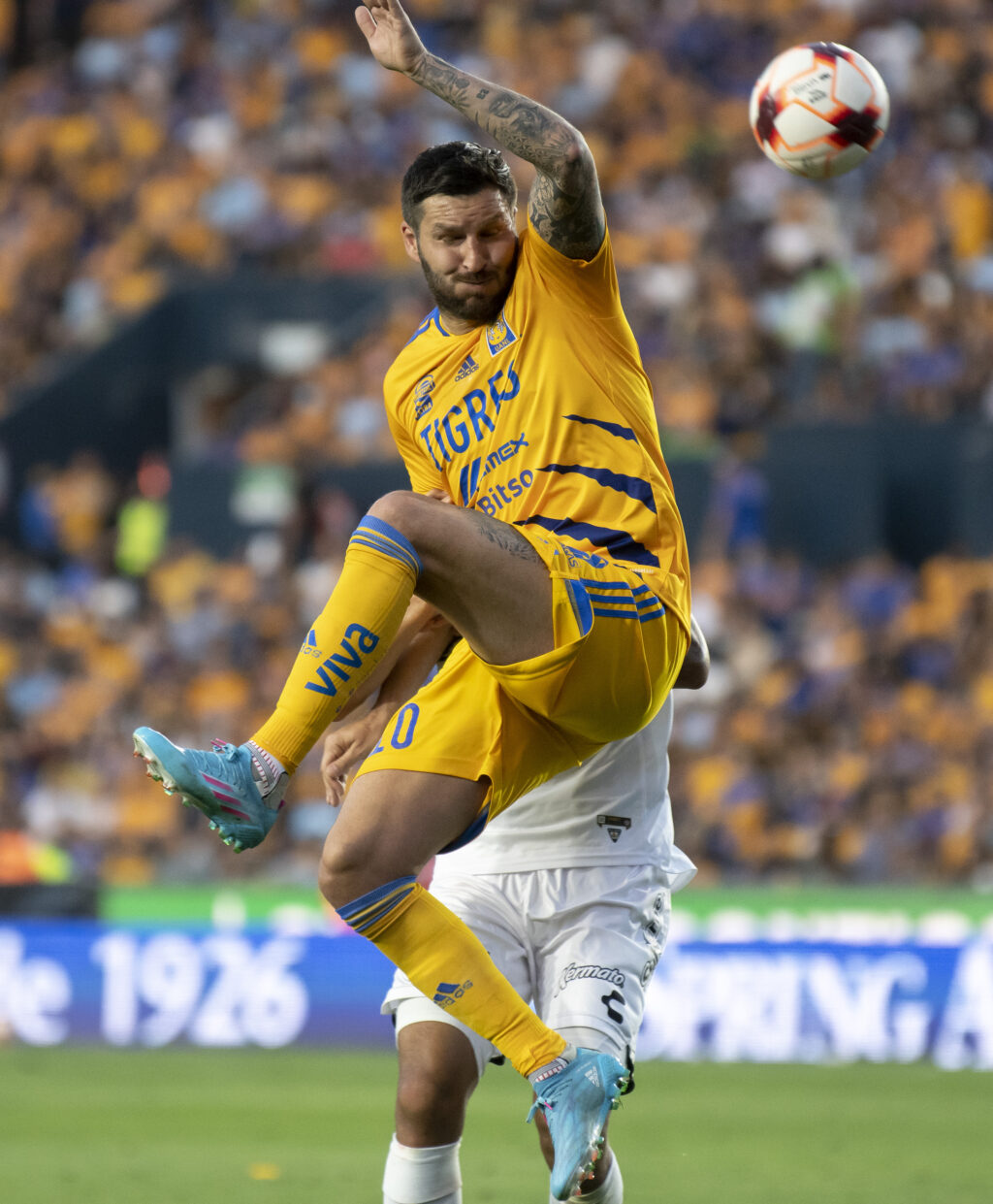 Tigres sube al liderato del Clausura del fútbol mexicano