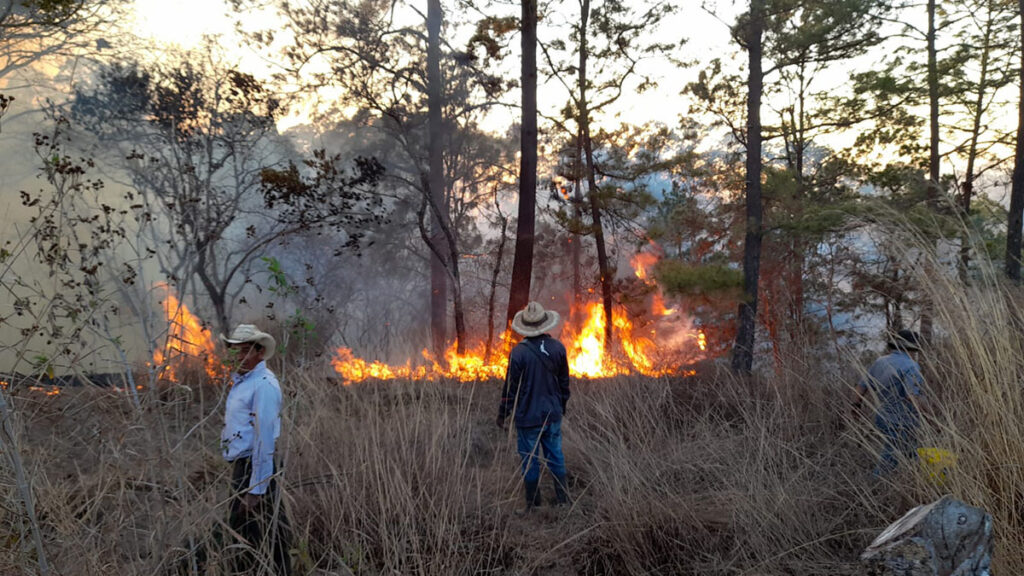 Incendios forestales