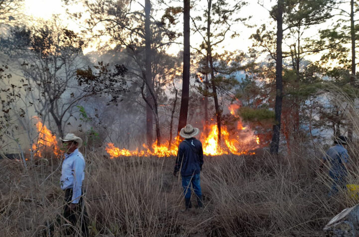 Incendios forestales