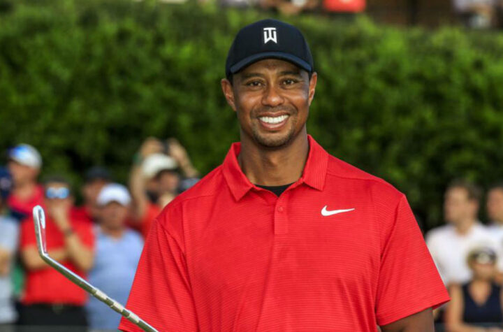 Regresa Tiger