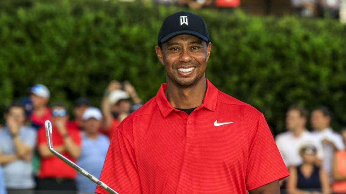 Regresa Tiger