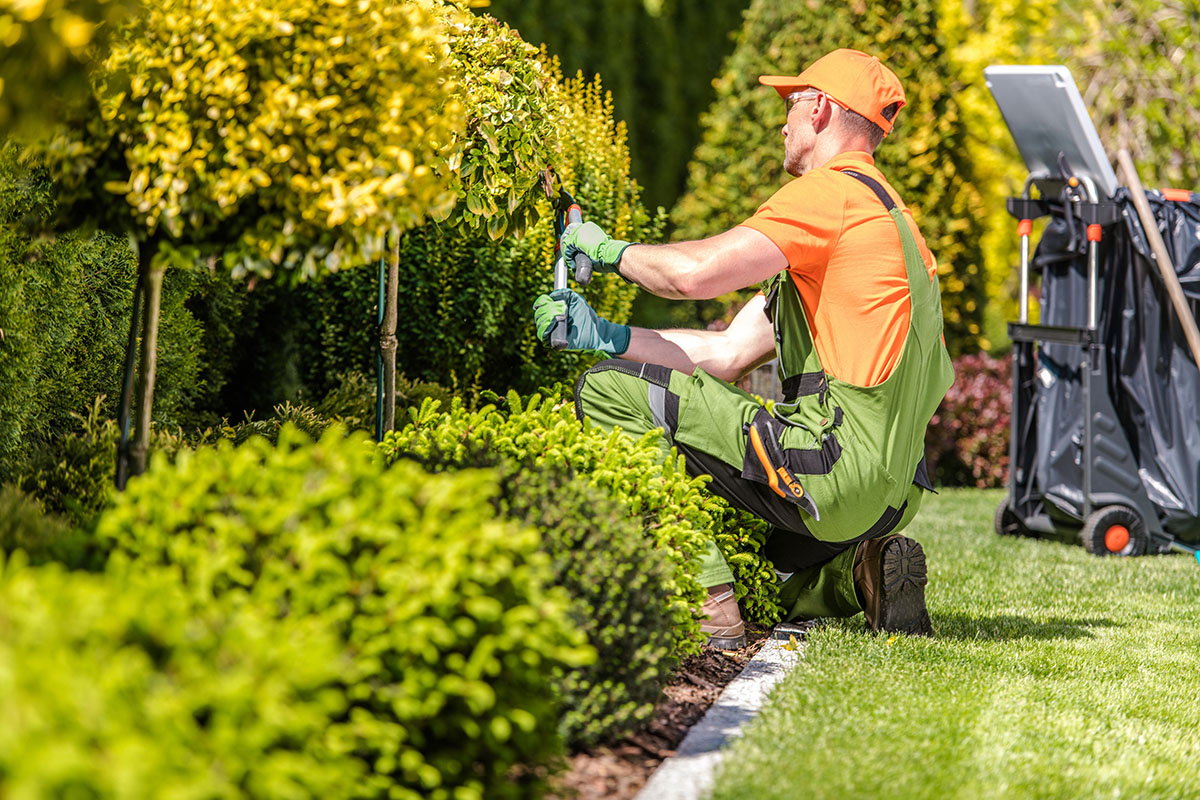 Jardinería o Landscaping, una oportunidad para la primavera