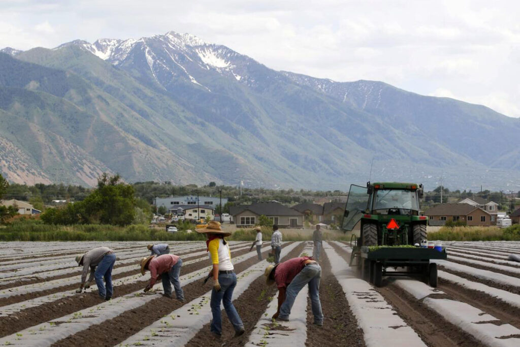 Rancheros buscan abolir derechos de trabajadores