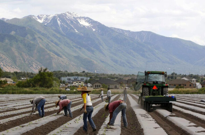 Rancheros buscan abolir derechos de trabajadores