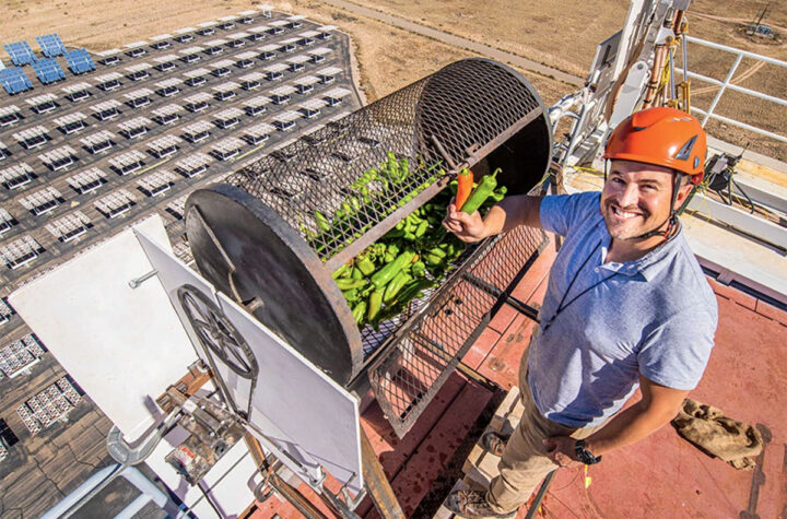 Chiles Hatch comienzan a ser tostados con energía solar
