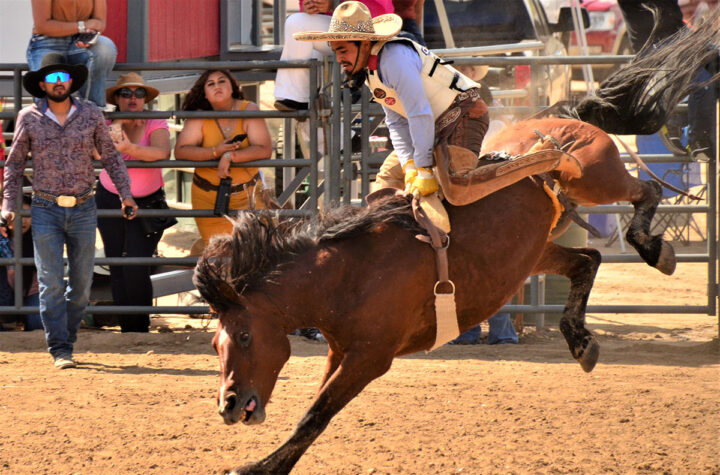 Rodeo y charreada en el Adams County Fair