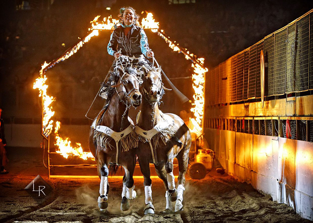 Disfrute del National Western Stock Show