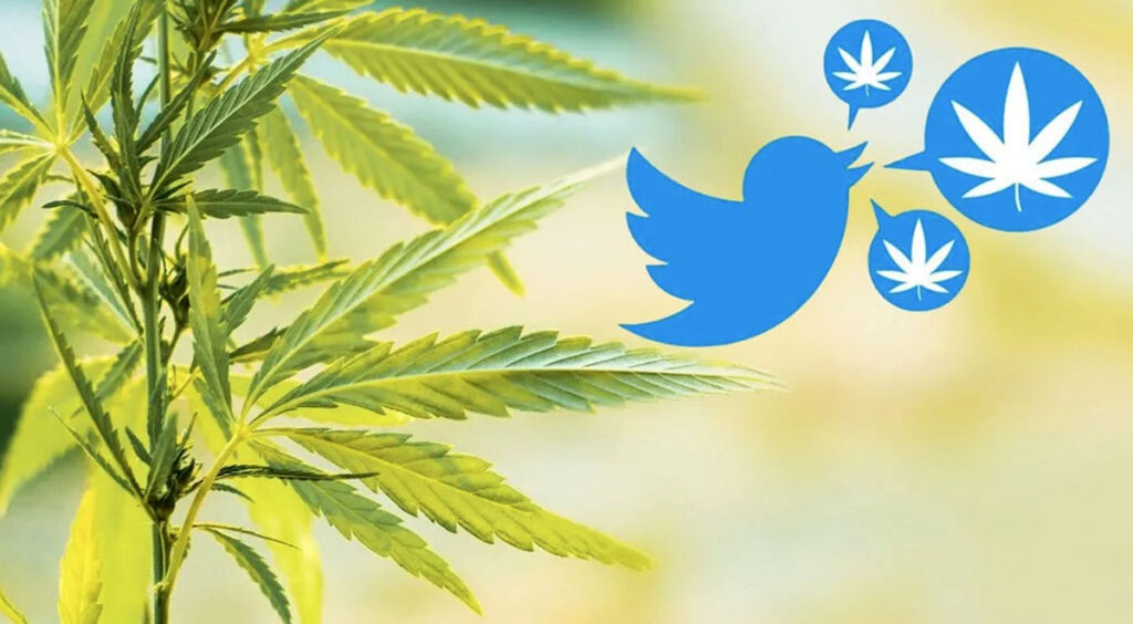 Anuncios de cannabis