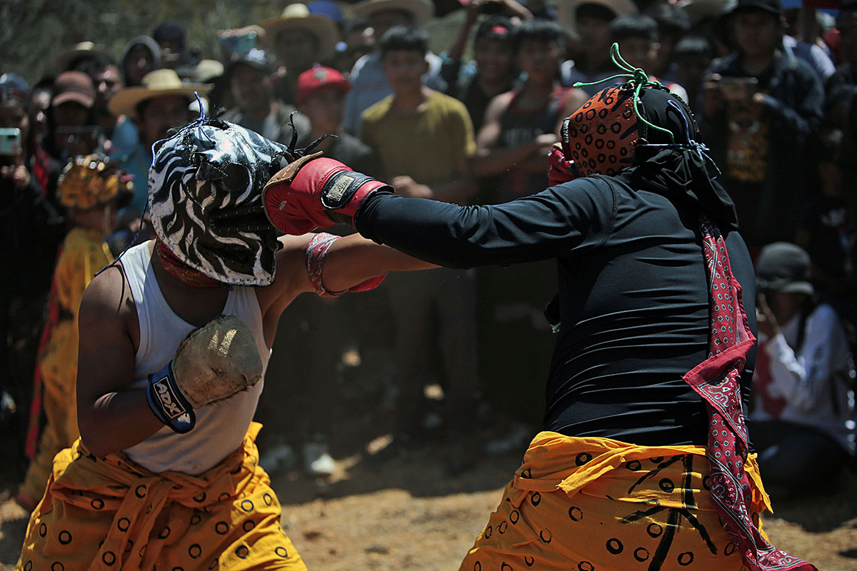 Pelea del jaguar