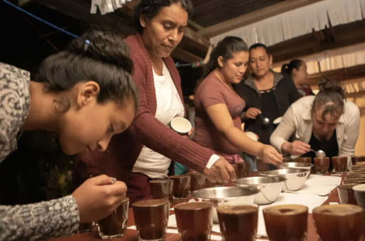 En apoyo a emprendedores