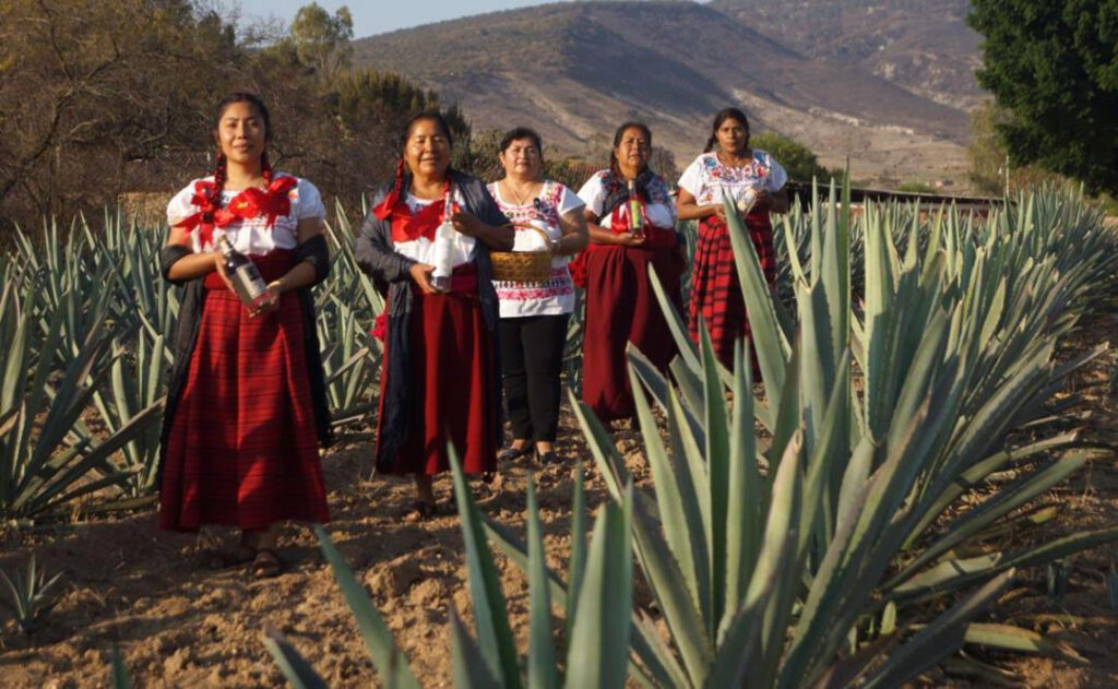 Oaxacan Mezcalero Masters arrive at “Amor a la Mexicana” Maestros mezcaleros oaxaqueños llegan a “Amor a la Mexicana”