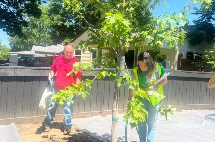 Brindando vida, vegetación y sombra para Denver