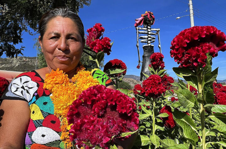 Sobrevivir la sequía