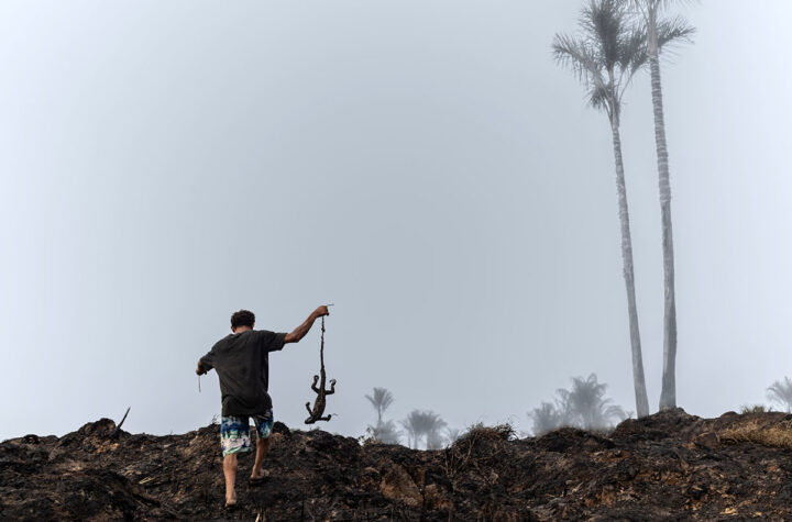 Incendios forestales