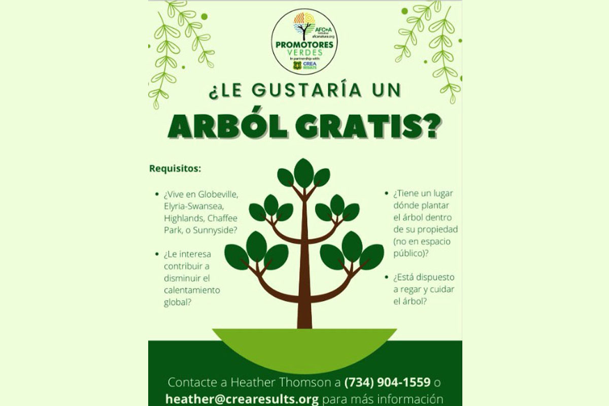Más árboles para Denver y Aurora