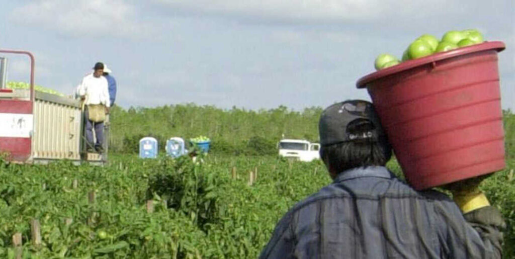 Desacuerdo entre granjeros y trabajadores en Colorado