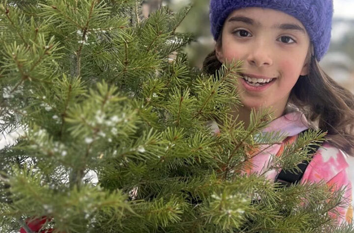 Families Cut Pines for an Environmental Cause Familias cortaron pinos por una causa ambiental
