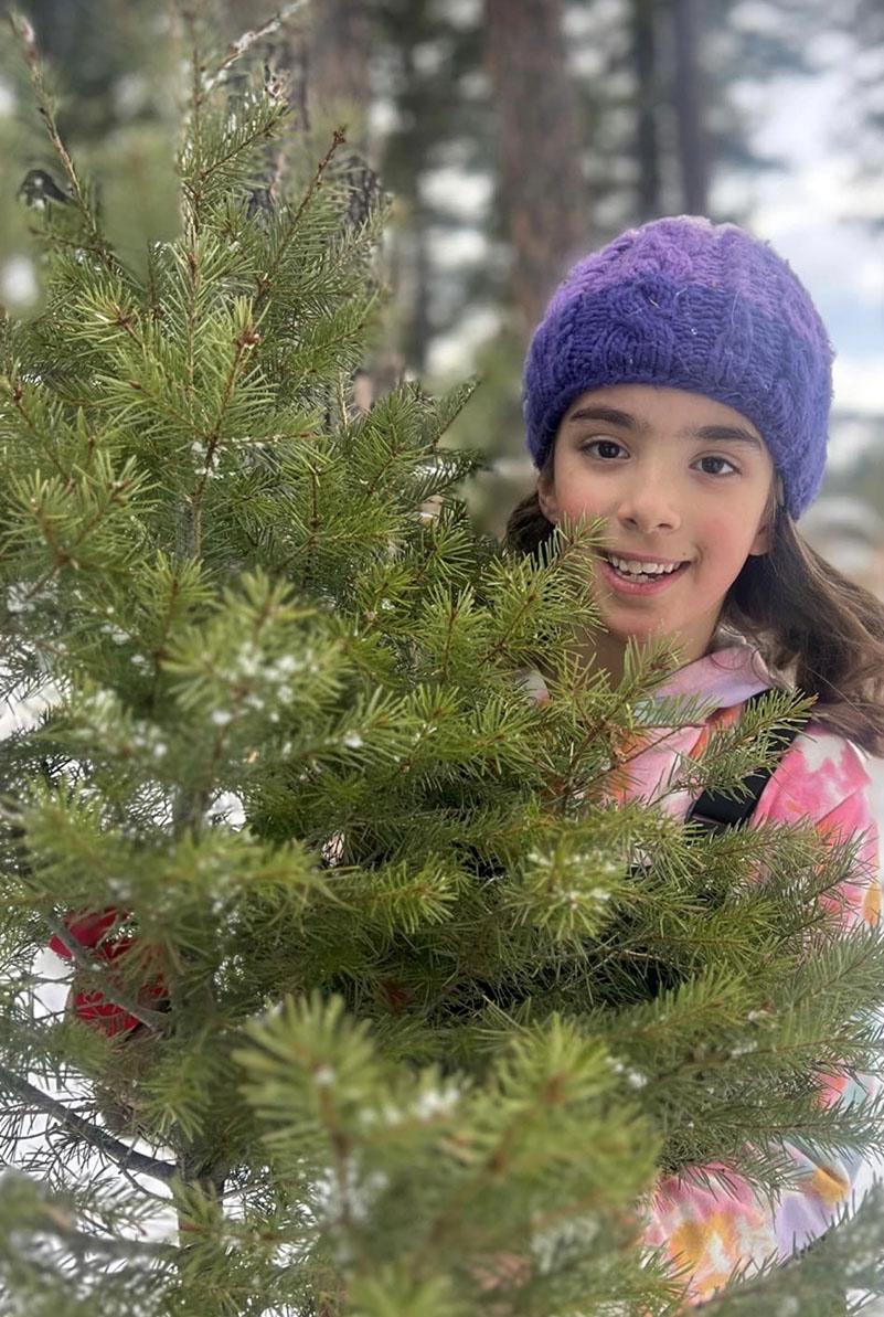 Families Cut Pines for an Environmental Cause Familias cortaron pinos por una causa ambiental