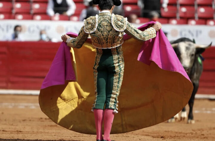 Toros en la Monumental