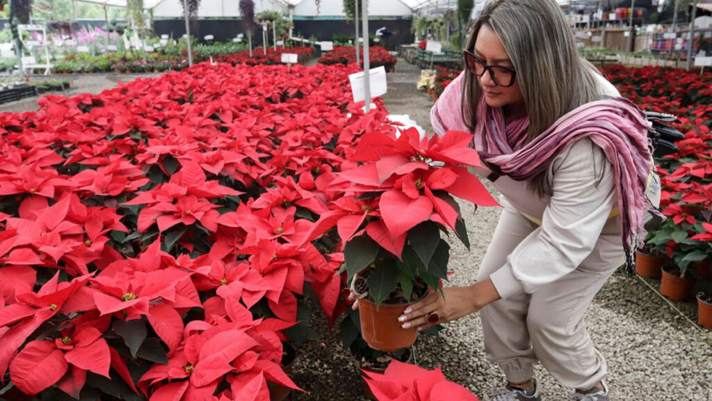 Alegría en los hogares