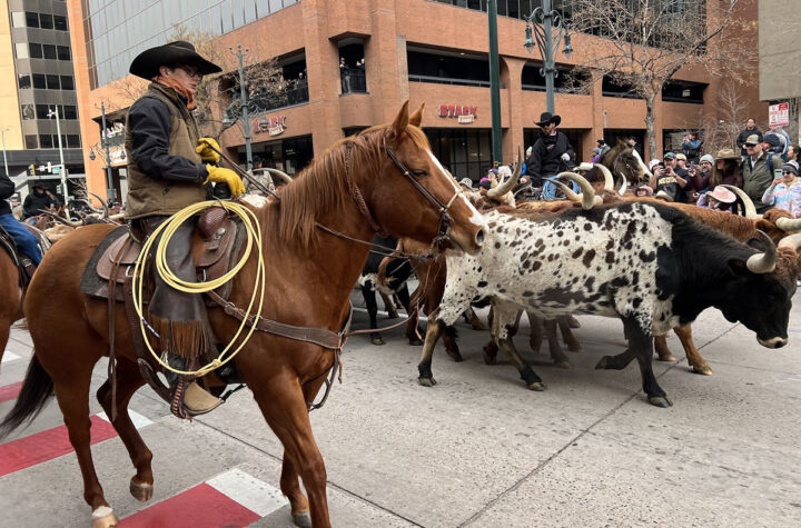 Celebrando tradición y herencia mexicana