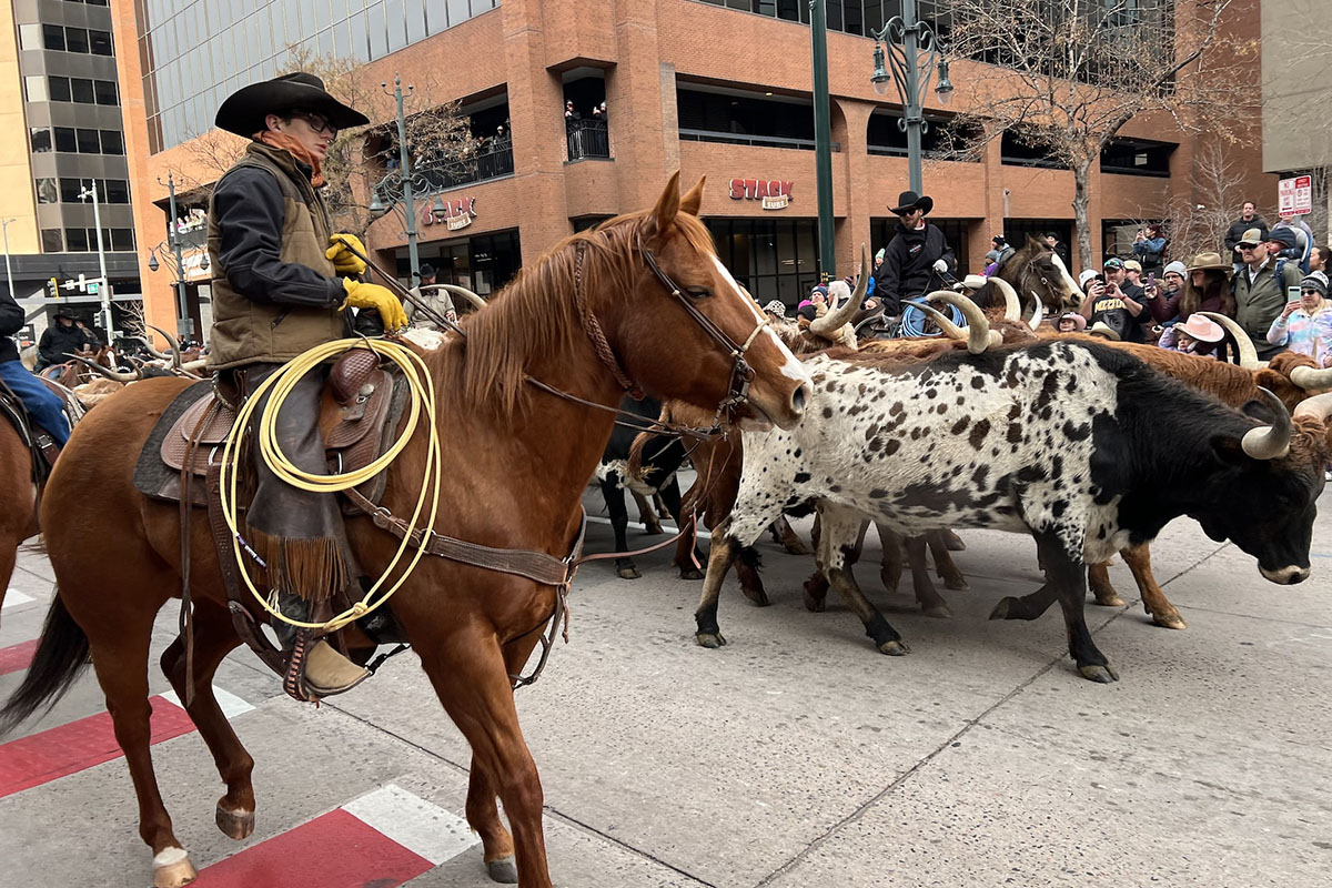 Celebrando tradición y herencia mexicana