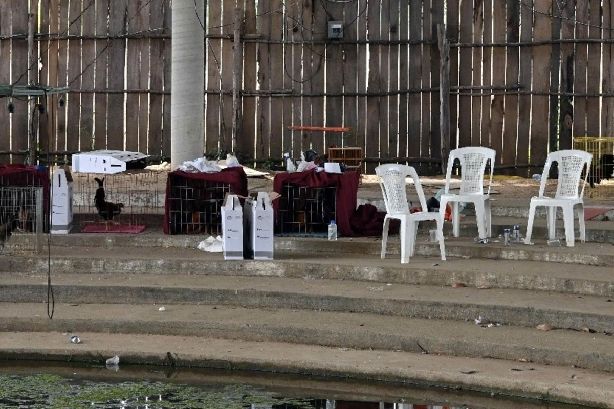 Muertos en balacera