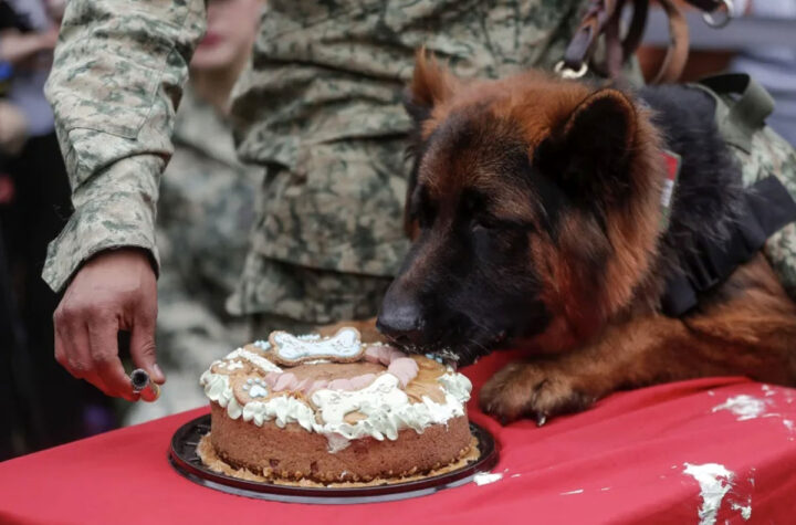 Cumpleaños de Arkadas