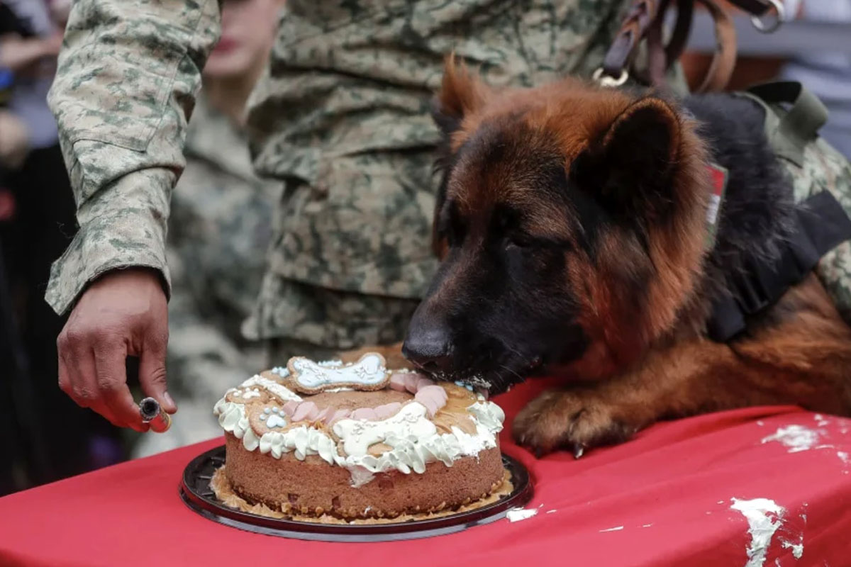 Cumpleaños de Arkadas